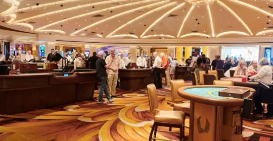 Bright Lights, Big Wins: A Beginner’s Guide to the Casino Experience