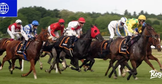First Time at a Horse-Racing Venue: Code of Conduct