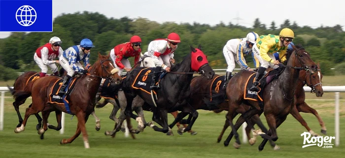 First Time at a Horse-Racing Venue: Code of Conduct