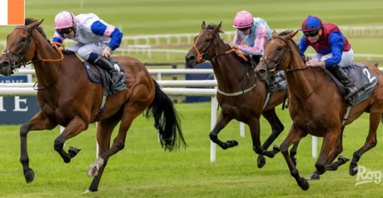 Betting with Irish Bookmakers? Here’s What To Expect
