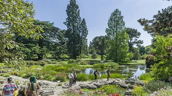 University Botanic Garden, Cambridge University Botanic Garden, Cambridge