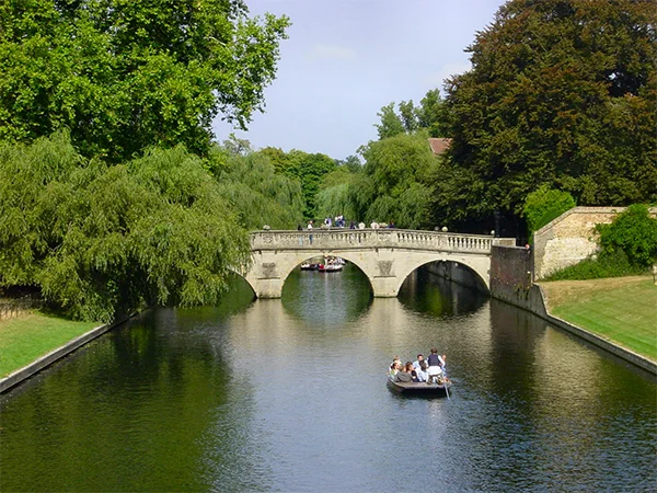 The River Cam The River Cam
