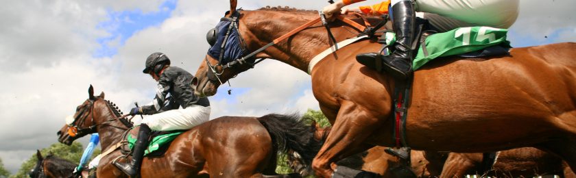 Grand National 2024